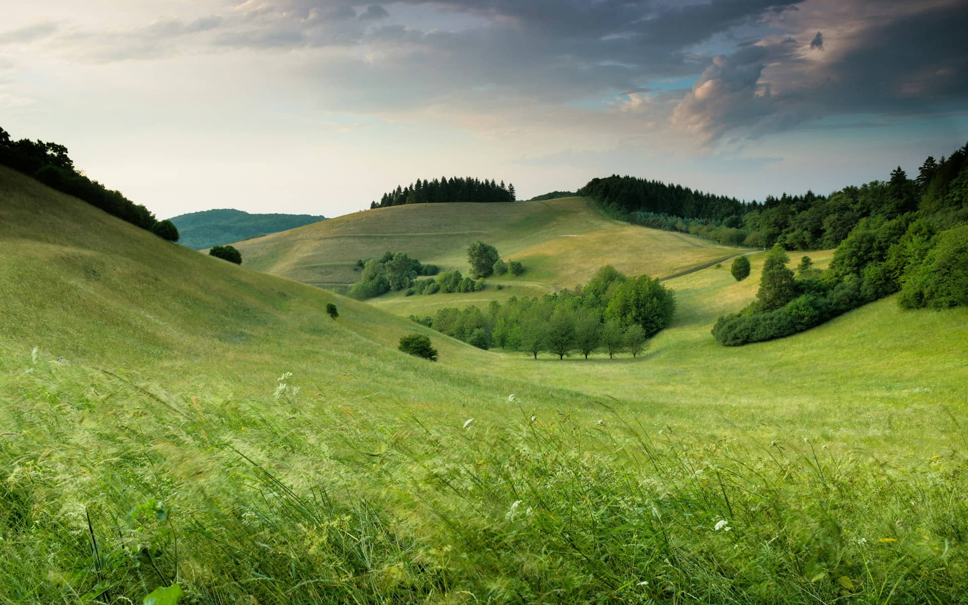 photo > Claudio Testa su Unsplash